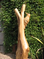 q. Elm Woodpecker.jpg